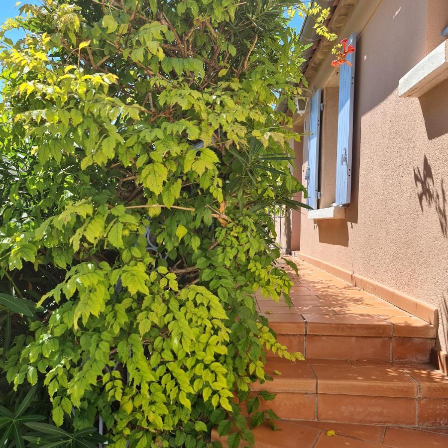 Apartamento Hameau Des Amandiers - Vue Mer, Golf Et Vignes Saint-Cyr-sur-Mer Exterior foto